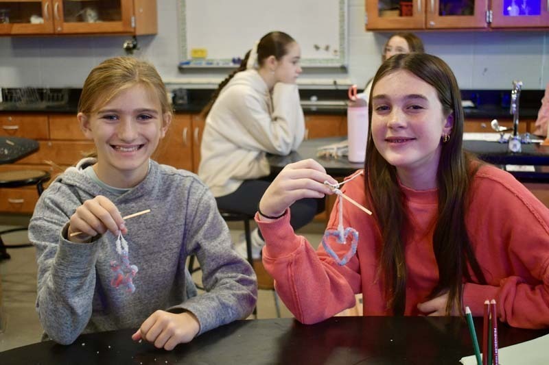 Seventh grade students in Mr. Burdi’s Physical Science class at James Wilson Young Middle School