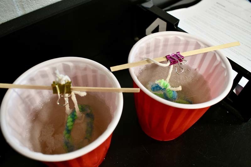 Seventh grade students in Mr. Burdi’s Physical Science class at James Wilson Young Middle School