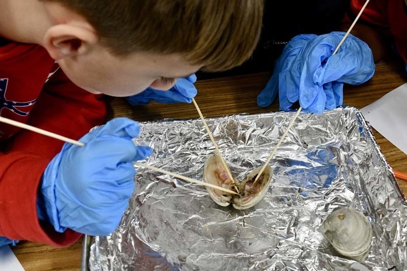 Fifth graders dive into local ecology with Seatuck