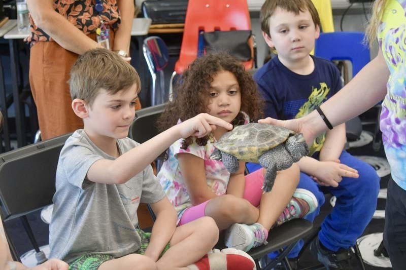 Students looking at snake being held by instructor.