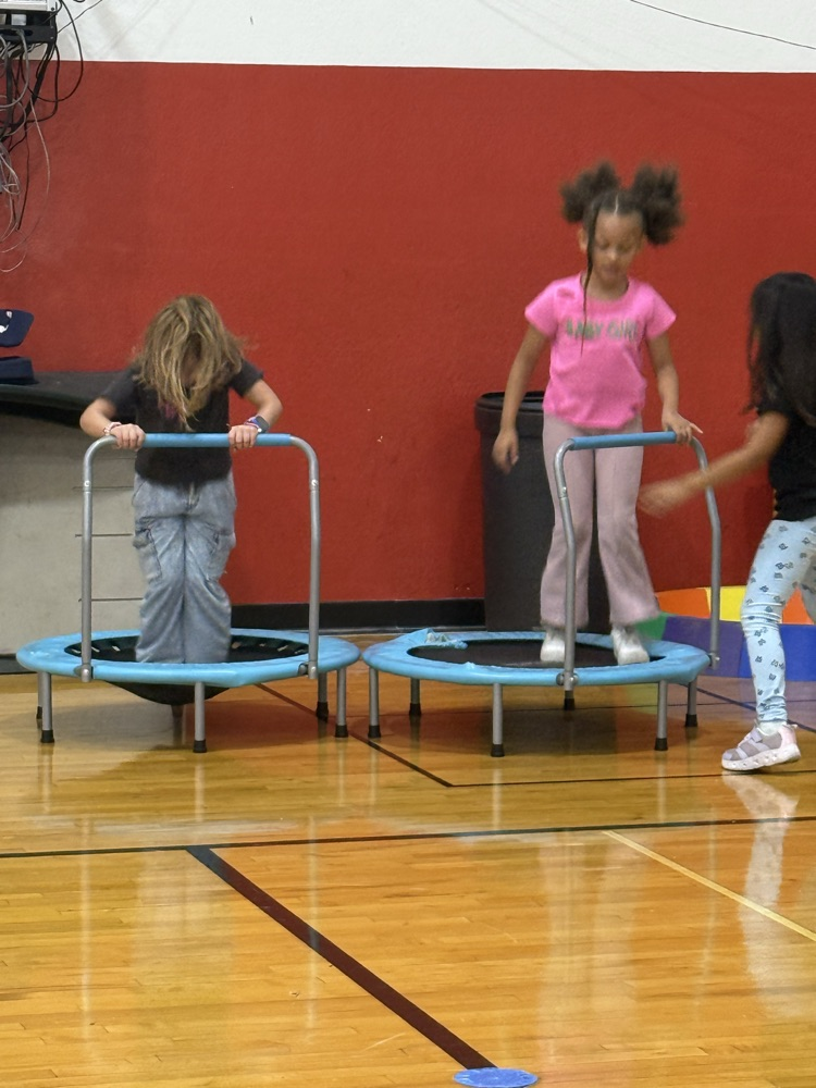 pe1