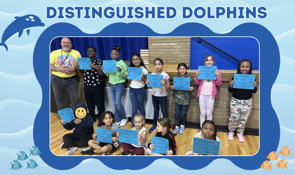 Distinguished Dolphins