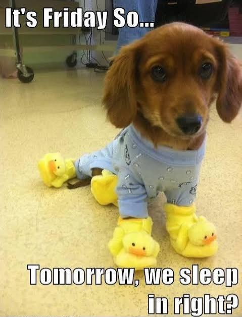 Happy Friday!!