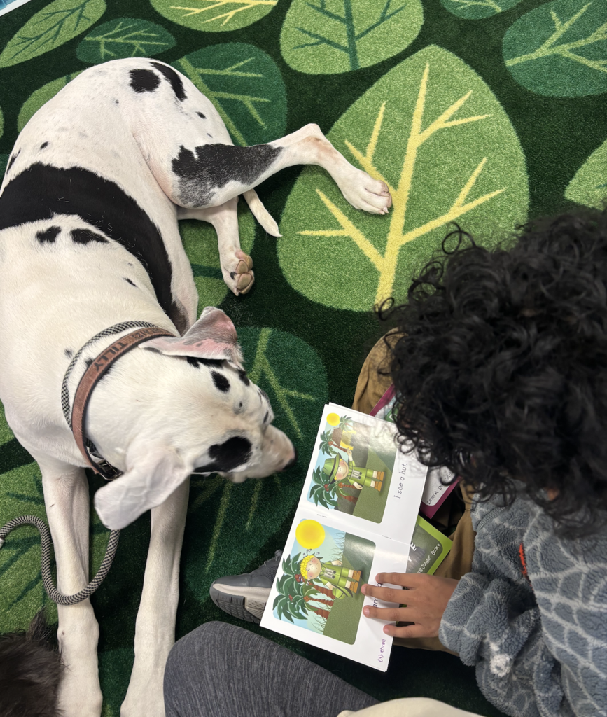 Screenshot 2025-12-11 at 11