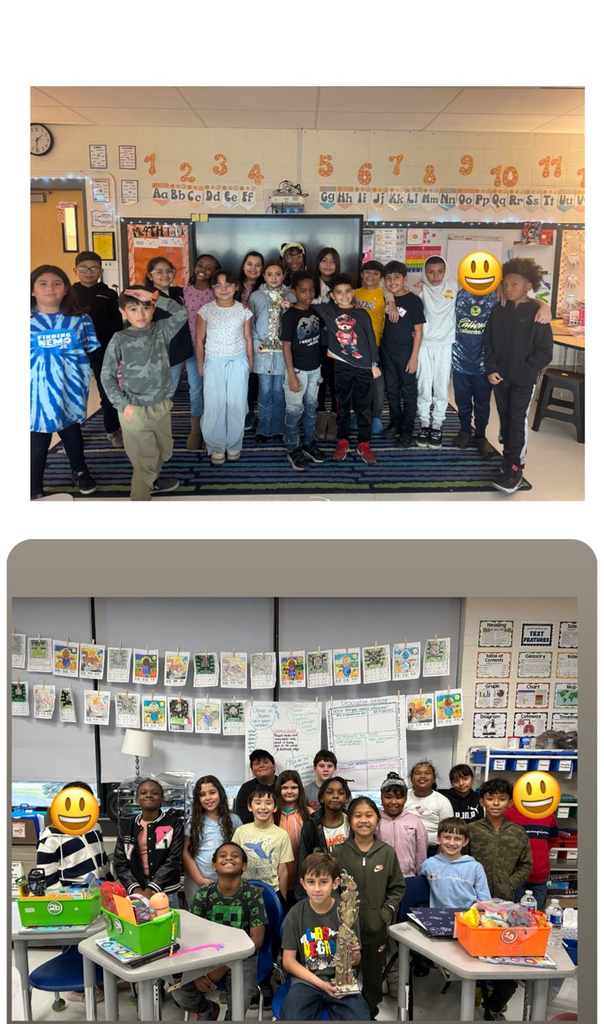 4th grade winning battle of the bees 