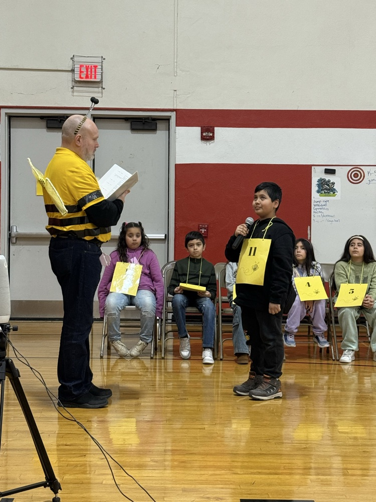 Spelling bee seven