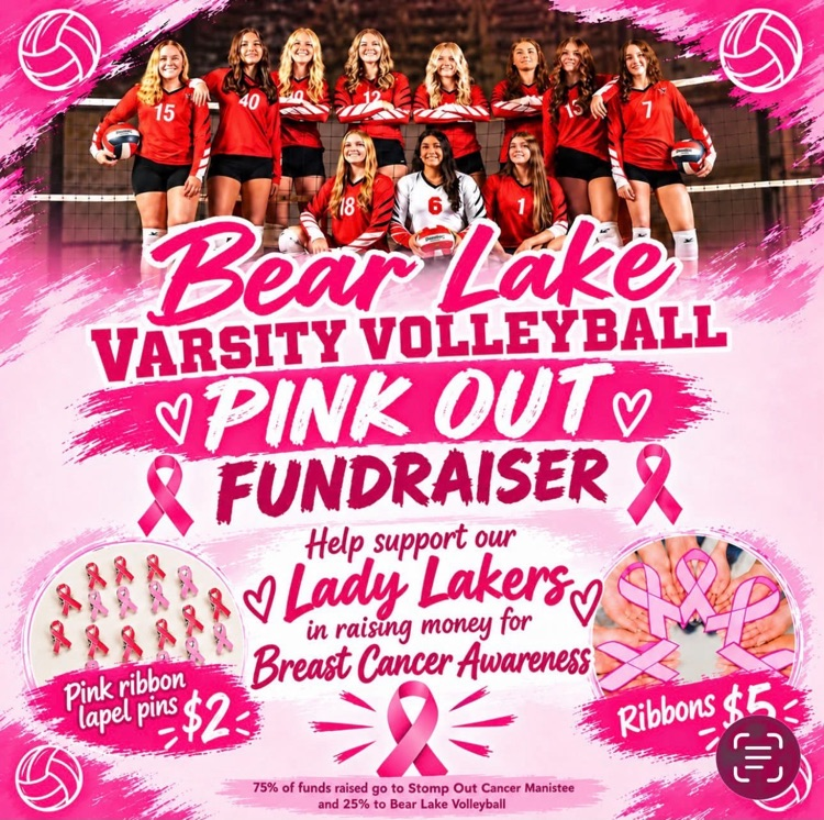 Pink Out Game