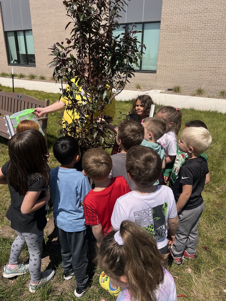 preschool