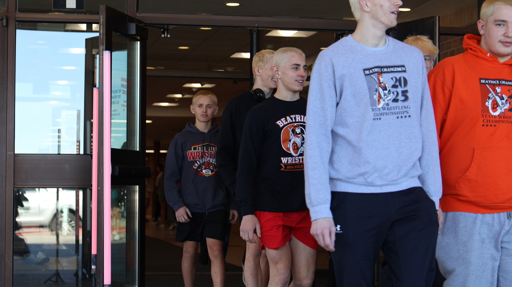 Boys Wrestling to State