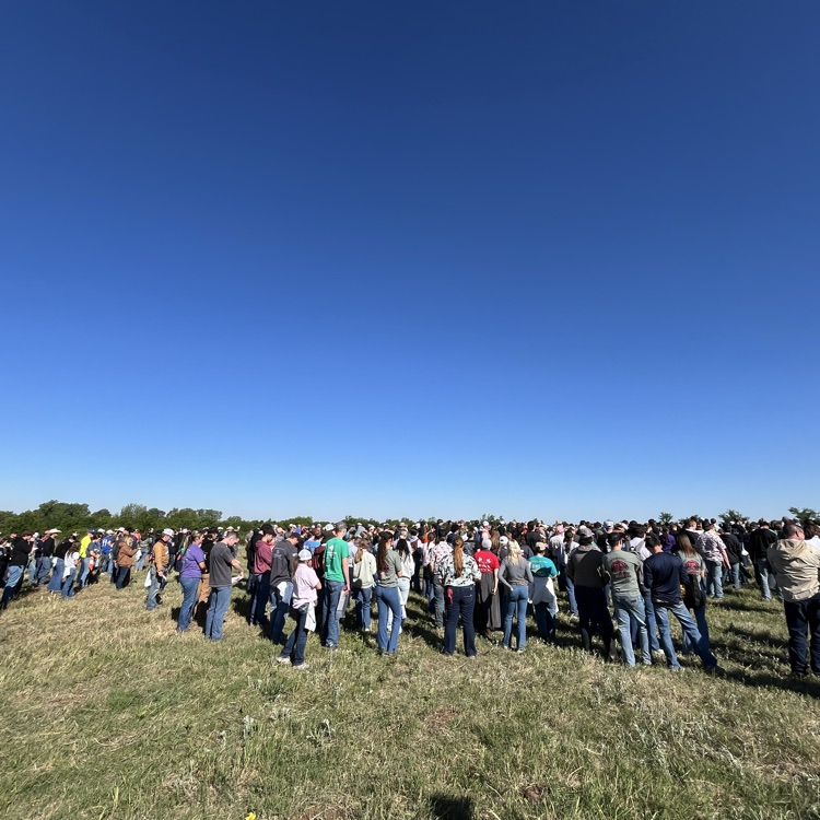 land judging 1