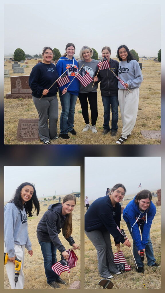 stuco