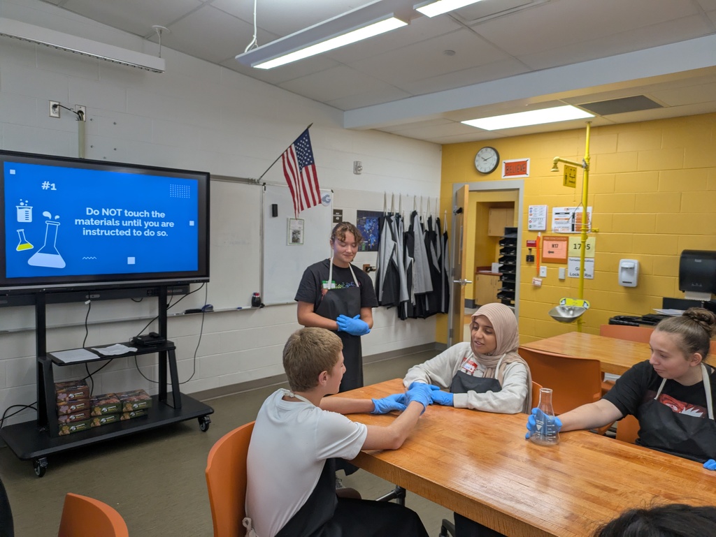 Medical Detectives Safety Practices