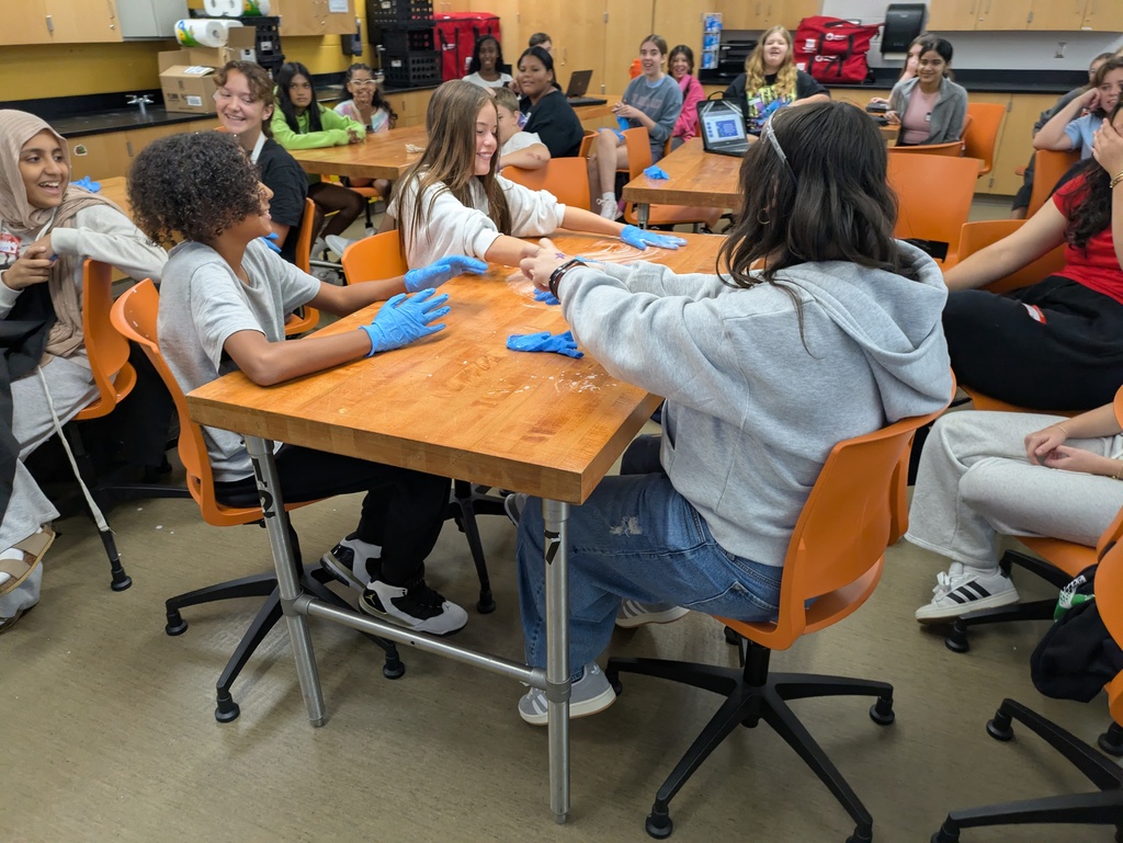 Medical Detectives Safety Practices