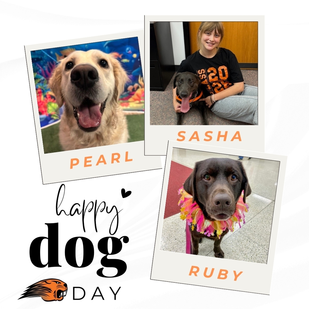 International Dog Day Celebration 