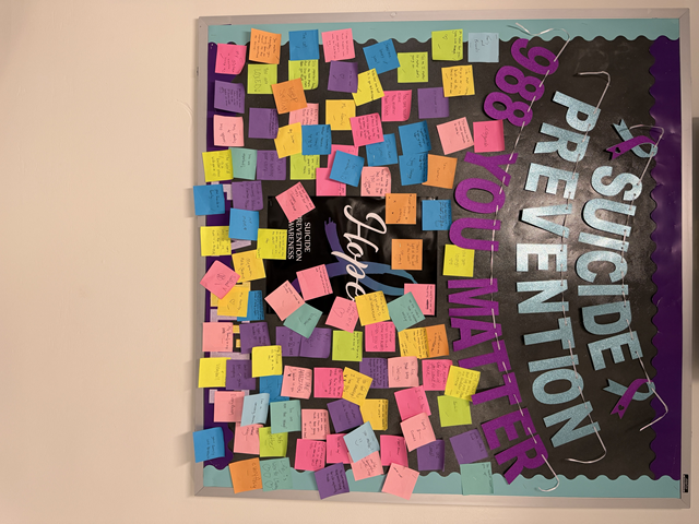 Suicide Prevention Board