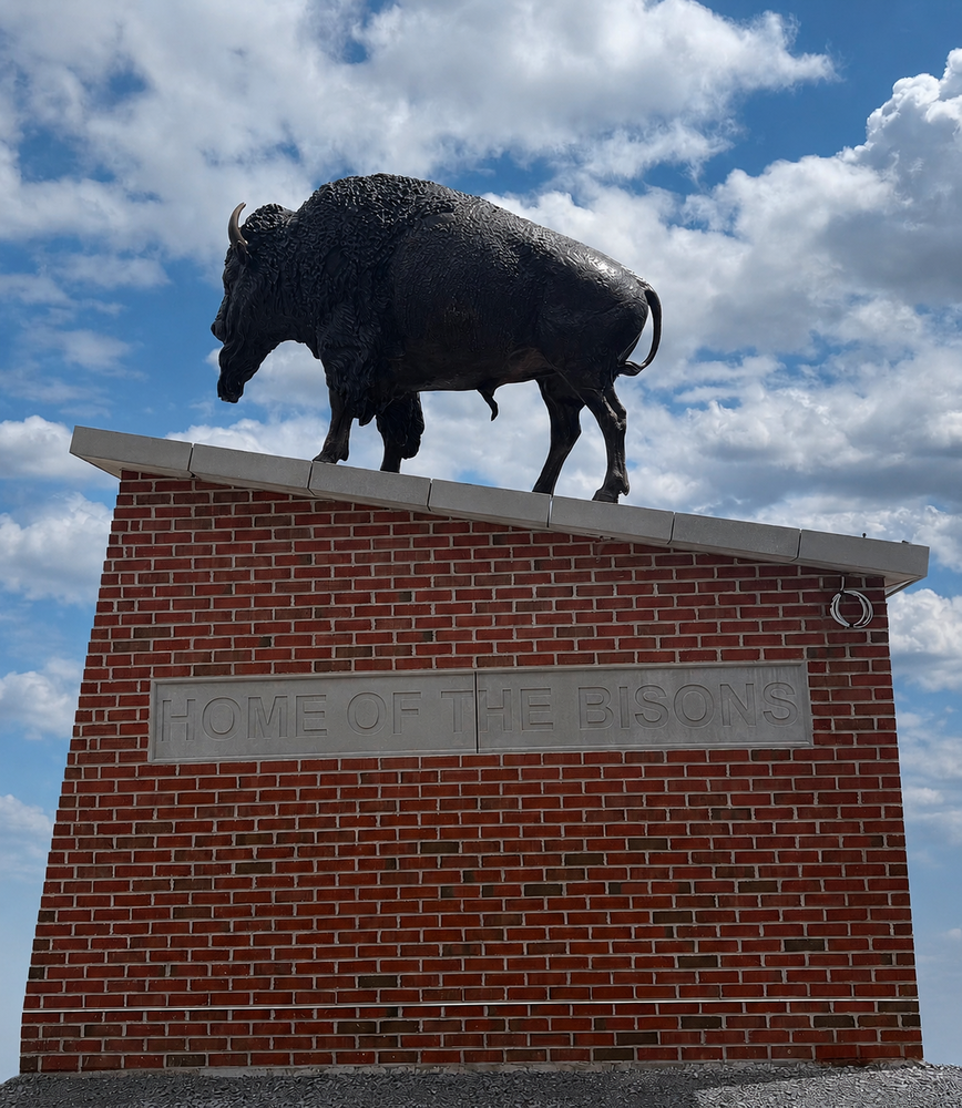 Bison Statue
