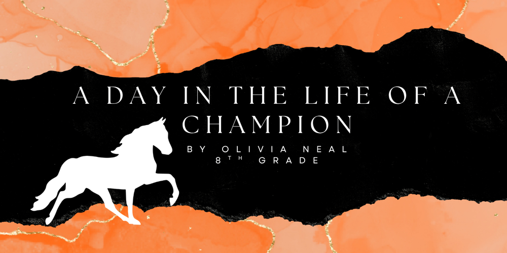 A Day in the life of a champion