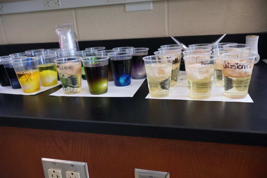 SCHS Biology Egg Experiment 