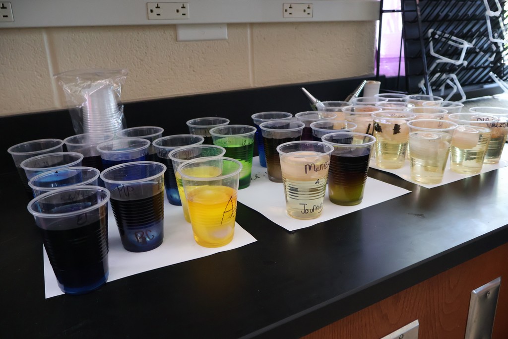 SCHS Biology Egg Experiment 