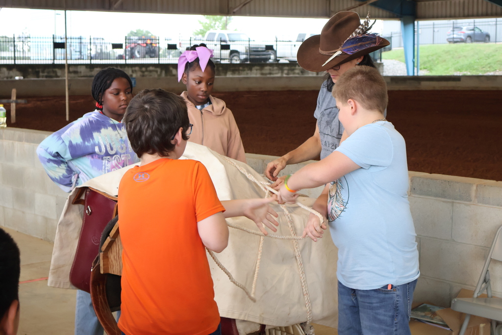 Bedford County Schools 4th Graders Attend Mule & Bluegrass Festival
