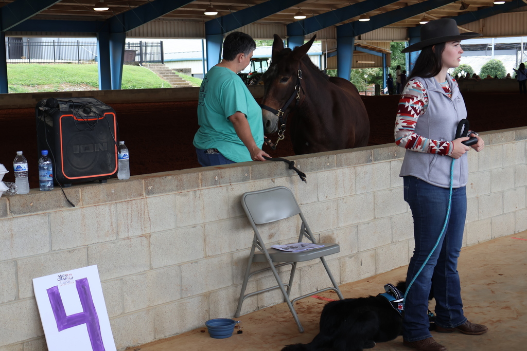 Bedford County Schools 4th Graders Attend Mule & Bluegrass Festival