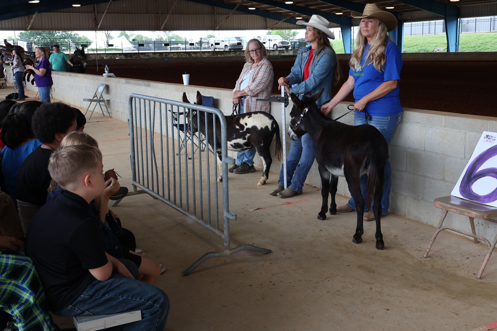 Bedford County Schools 4th Graders Attend Mule & Bluegrass Festival