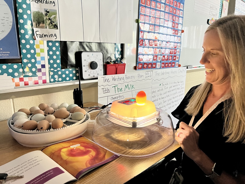 East Side Elementary School Egg Incubation Project