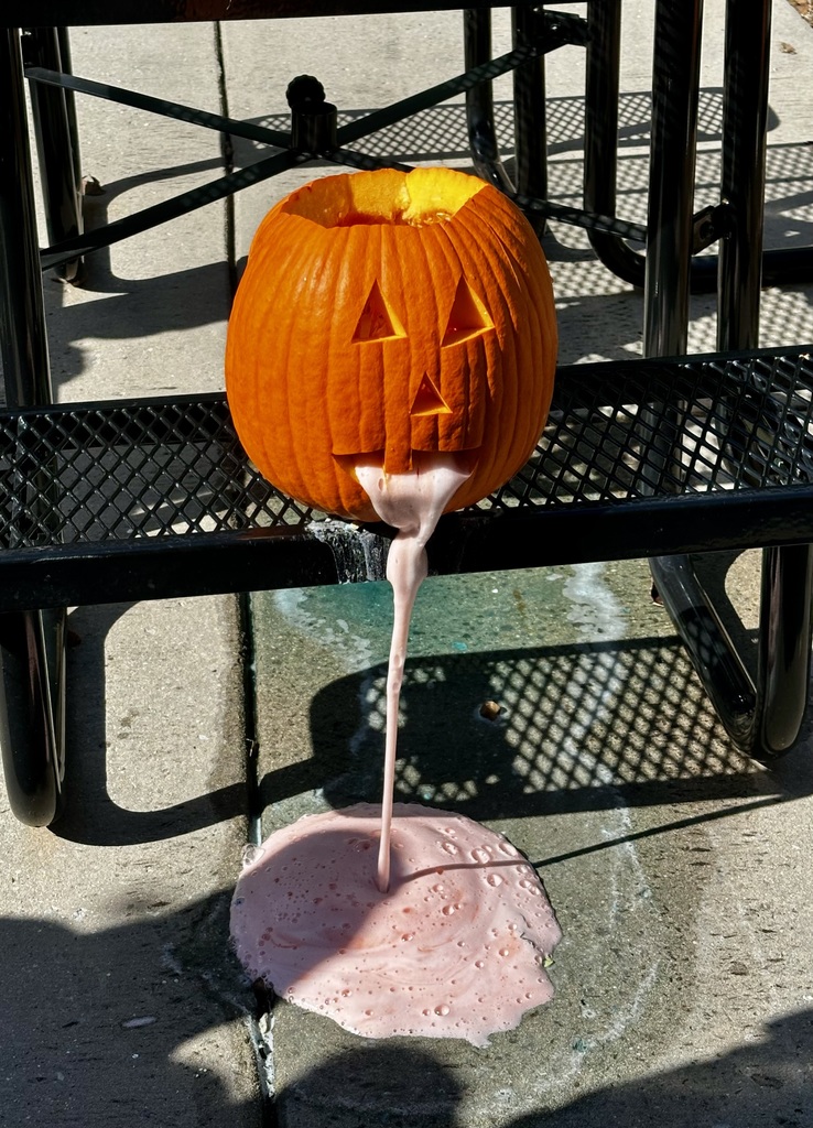 SACP Fall Break Pumpkin Experiment
