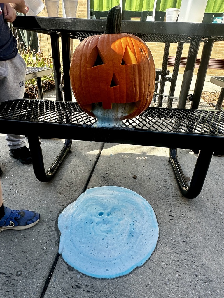 SACP Fall Break Pumpkin Experiment
