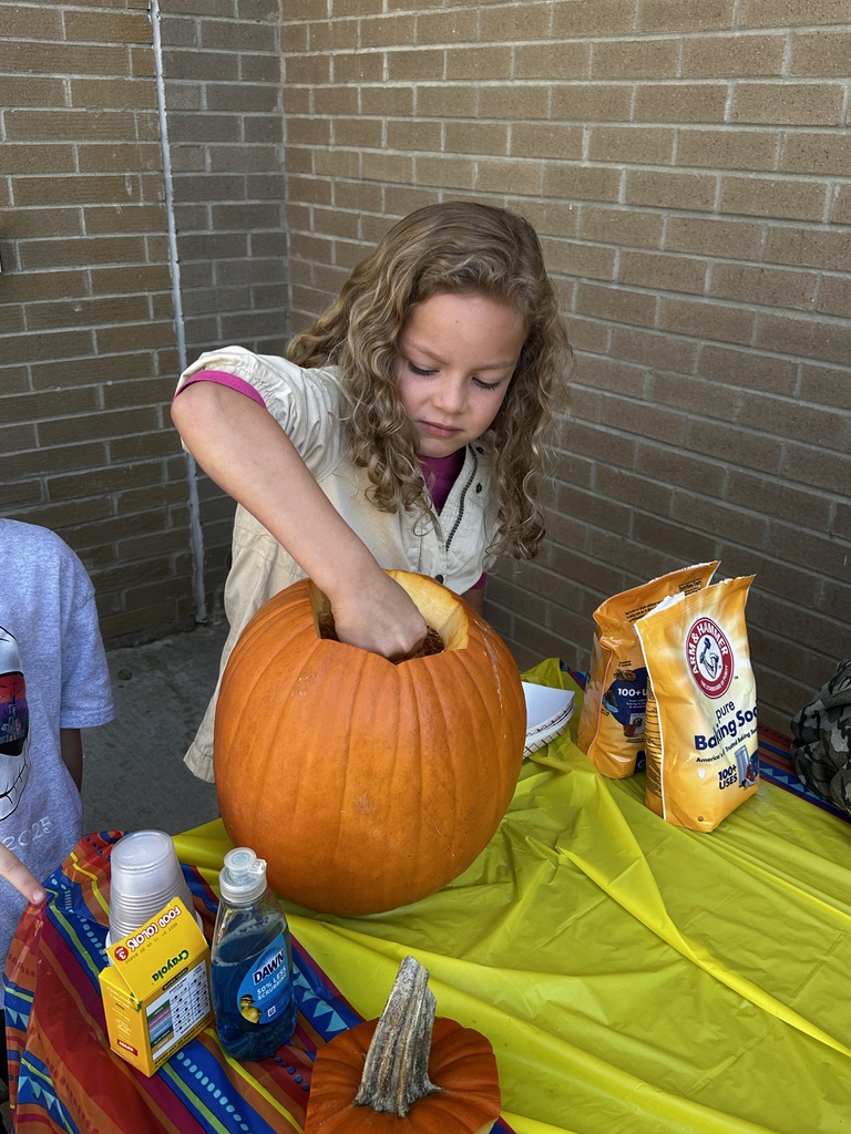 SACP Fall Break Pumpkin Experiment