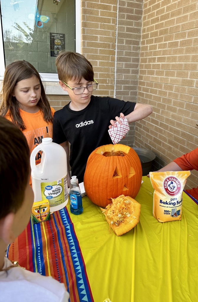 SACP Fall Break Pumpkin Experiment