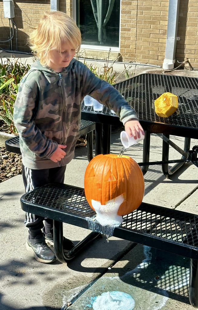 SACP Fall Break Pumpkin Experiment