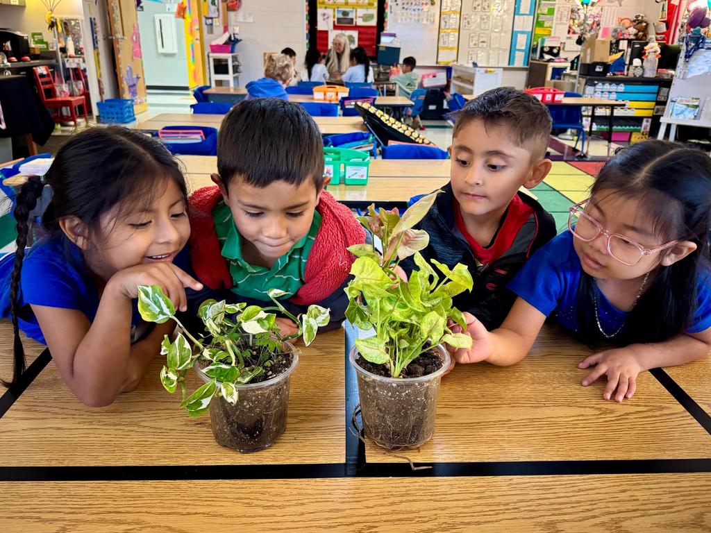 students and plants