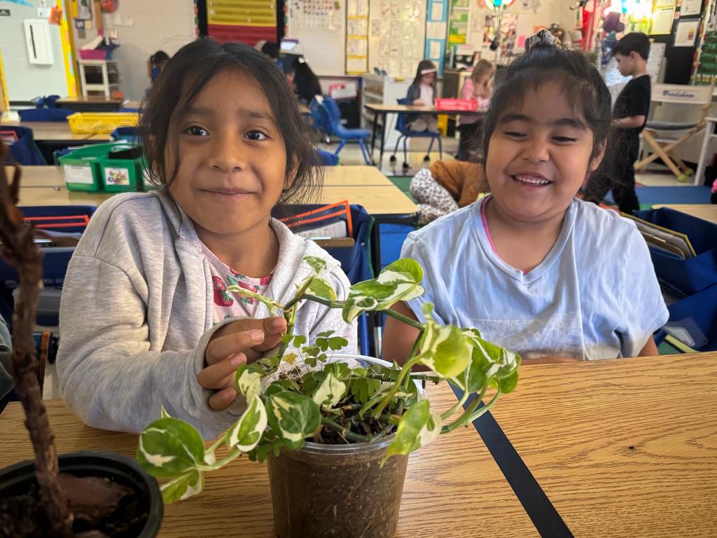 students and plants