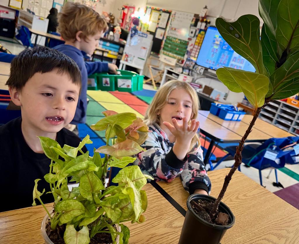 students and plants