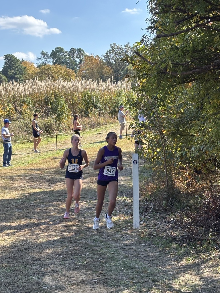 Girls cross country team