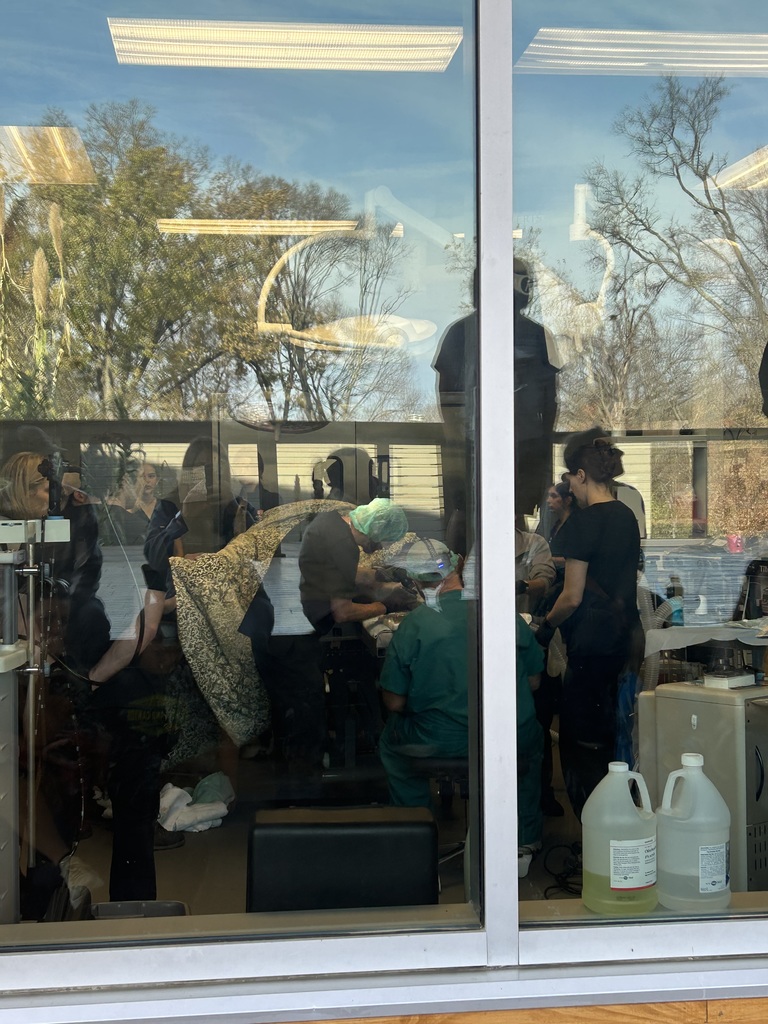 SCHS Veterinary Science Class Visits the Nashville Zoo