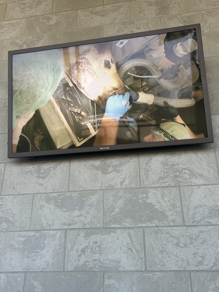 SCHS Veterinary Science Class Visits the Nashville Zoo