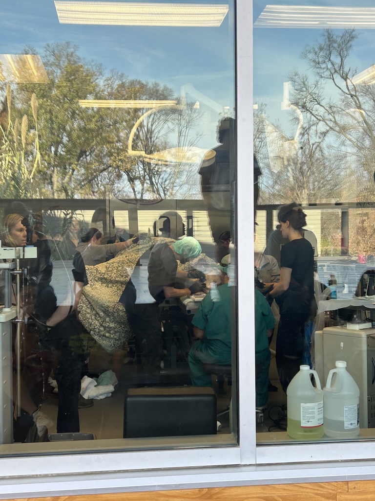 SCHS Veterinary Science Class Visits the Nashville Zoo