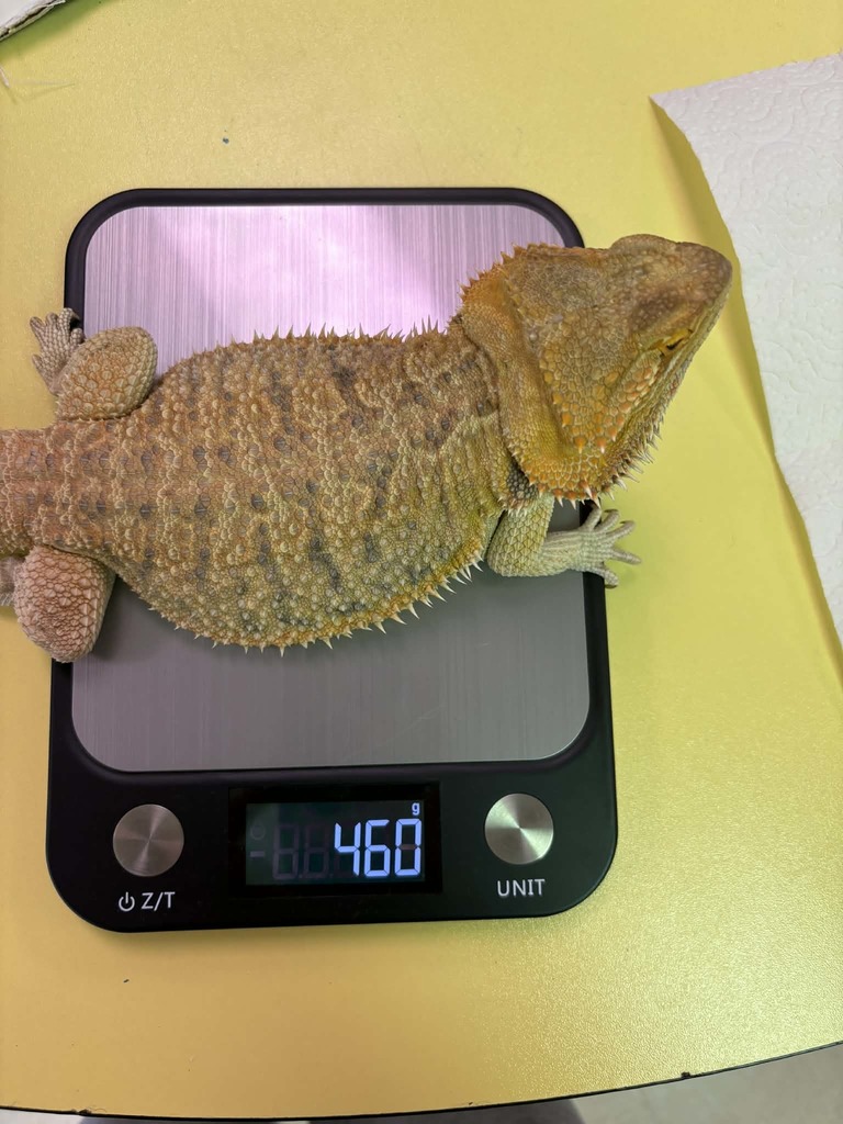 She weights how much?