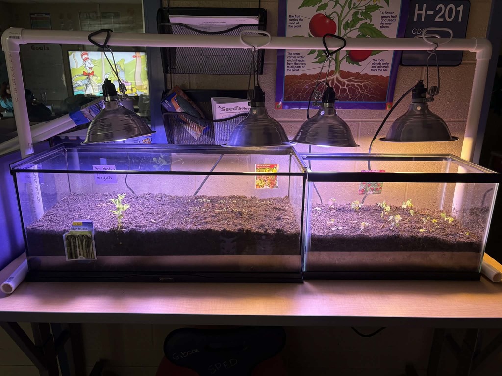 I think it might be ready