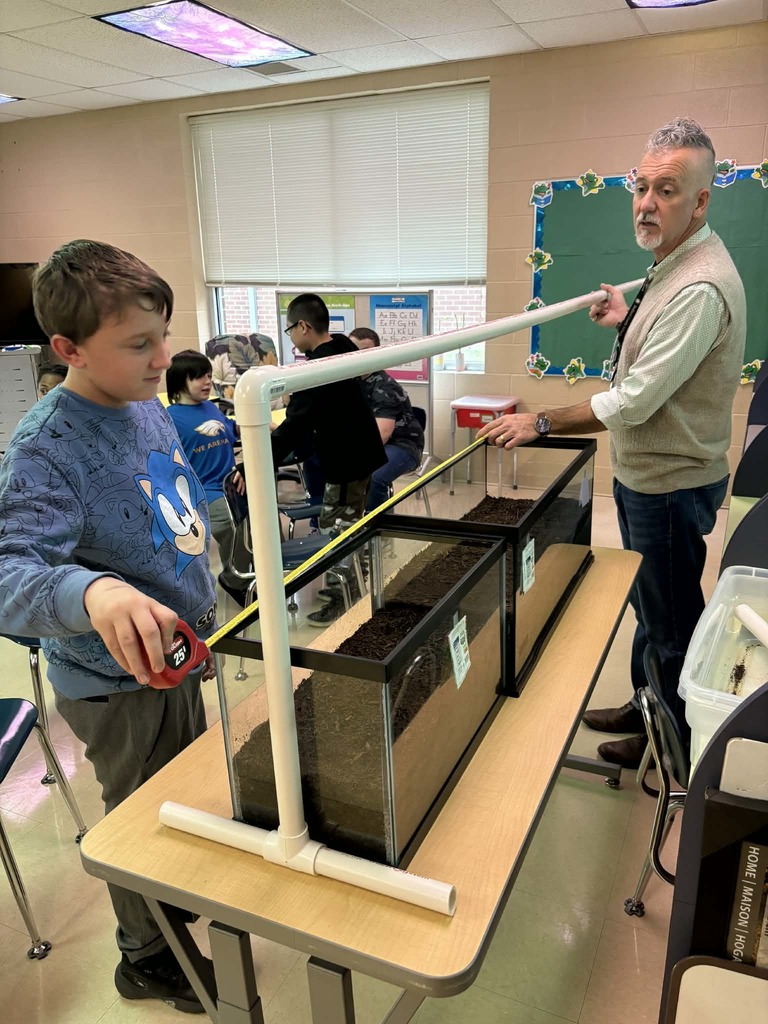 Setting up the tanks
