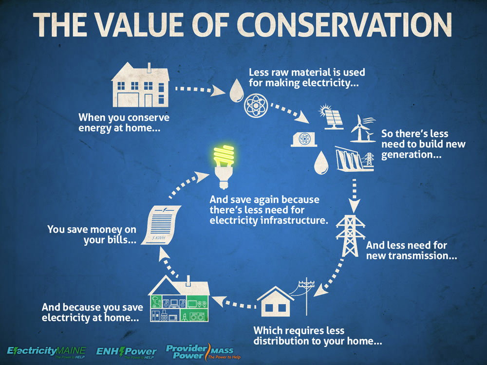 the value of conservation