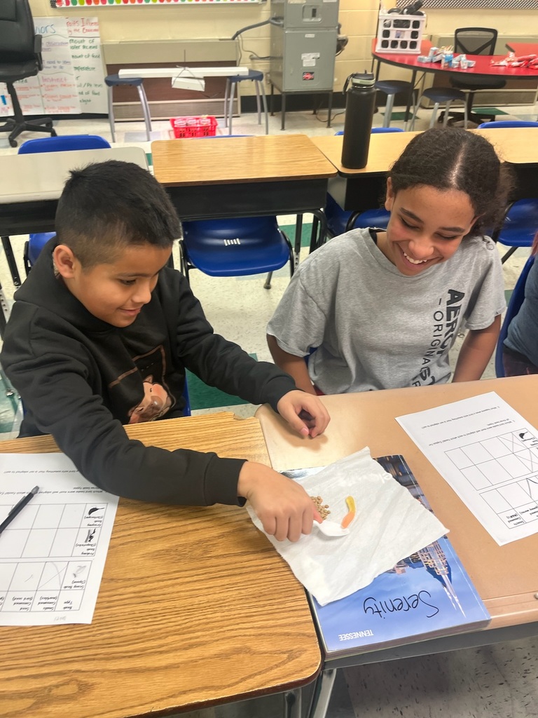 bird beak experiment