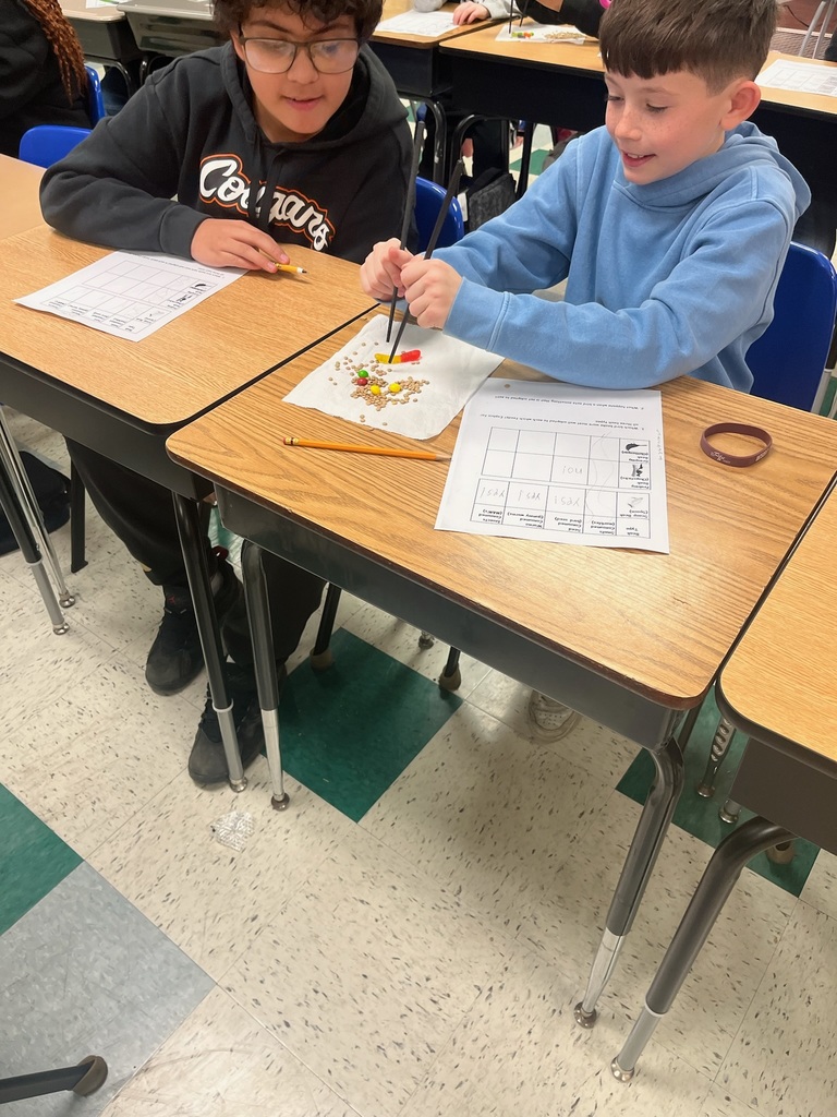 bird beak experiment