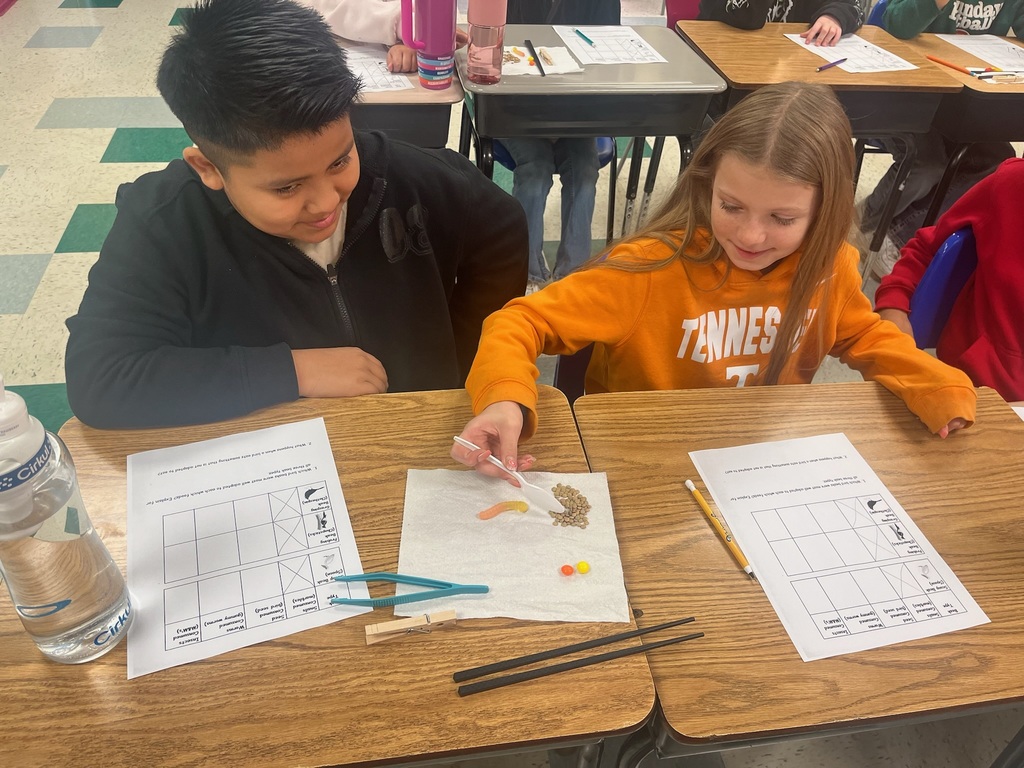 bird beak experiment