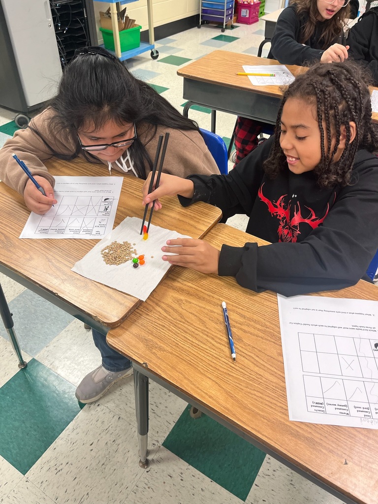 bird beak experiment