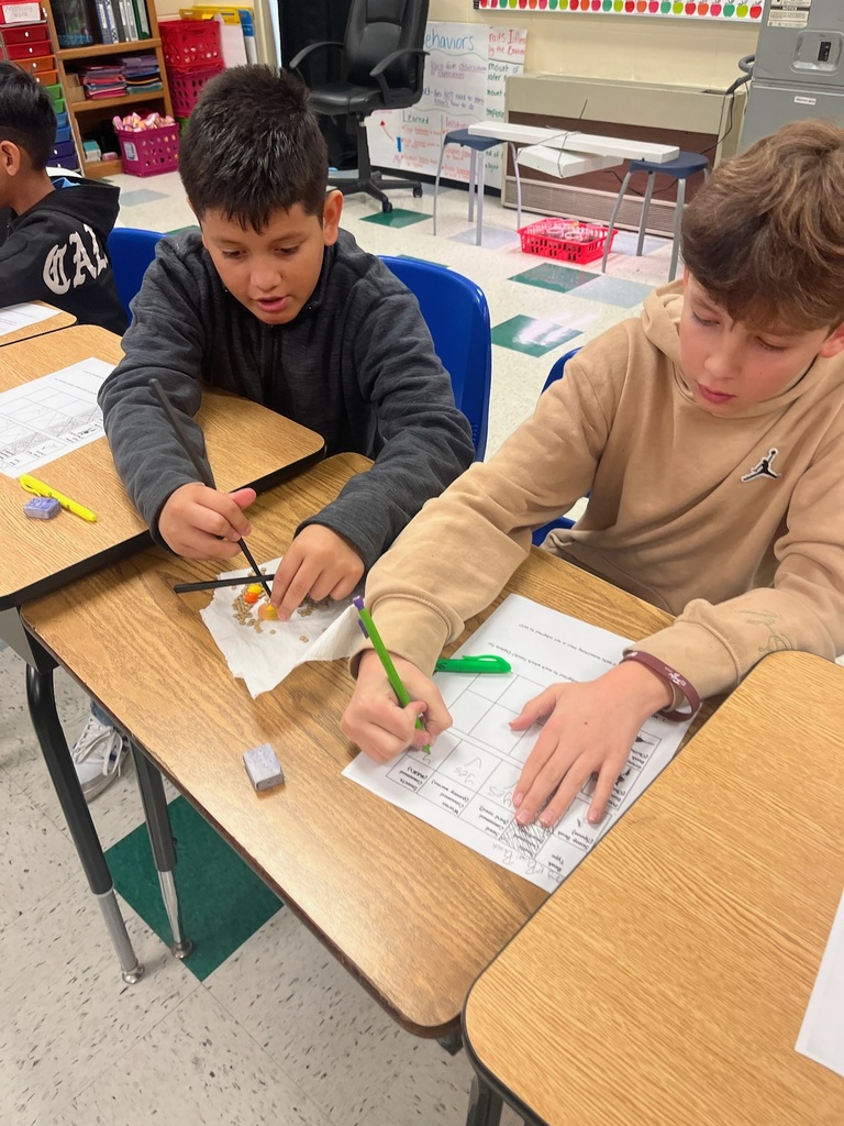 bird beak experiment