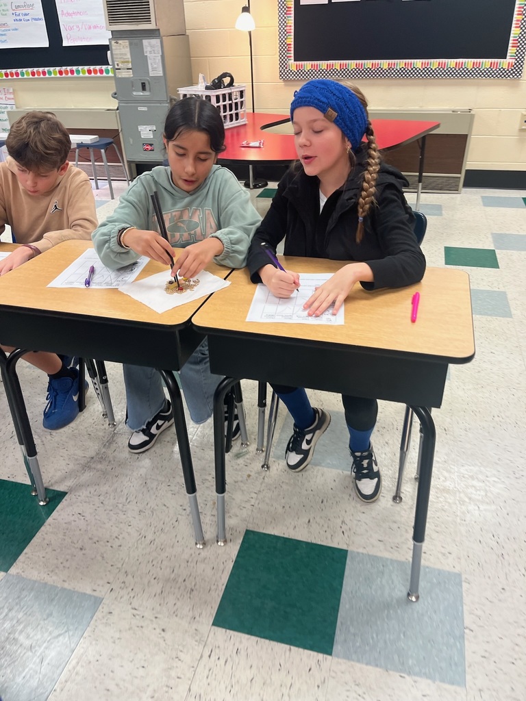 bird beak experiment