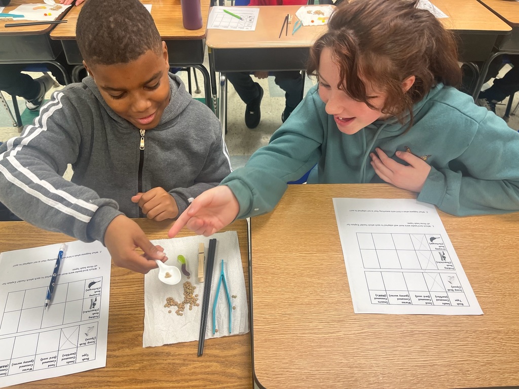 bird beak experiment